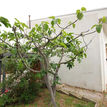 Casa Sciusca * 切法卢