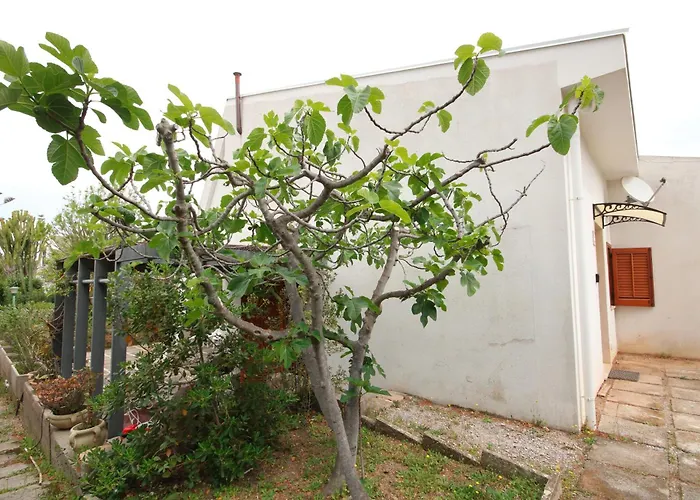 Casa Sciusca * تْشيفالو